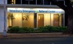Veterinary Emergency + Referral Center of Hawaii
